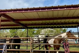 19103 E Via De Arboles --, Queen Creek, AZ 85142 - Photo 52