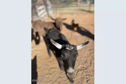 19103 E Via De Arboles --, Queen Creek, AZ 85142 - Photo 30