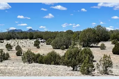 768 High Tank Road #-, Williams, AZ 86046 - Photo 1