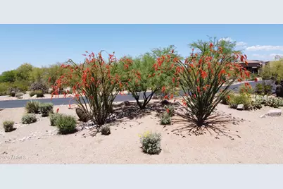 8155 E Thorntree Drive, Scottsdale, AZ 85266 - Photo 36