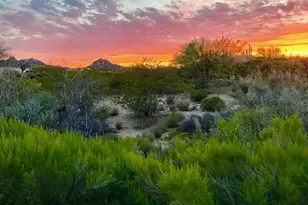 28317 N 112th Way, Scottsdale, AZ 85262 - Photo 58