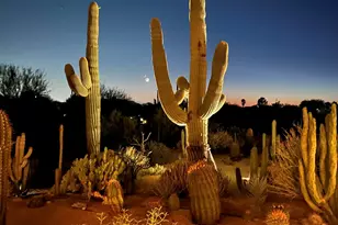 31221 N 61st St, Cave Creek, AZ 85331 - Photo 56