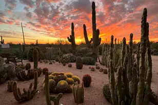 31221 N 61st St, Cave Creek, AZ 85331 - Photo 4