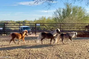 13906 E Montello Rd, Scottsdale, AZ 85262 - Photo 80