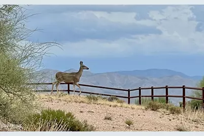 13906 E Montello Road, Scottsdale, AZ 85262 - Photo 94