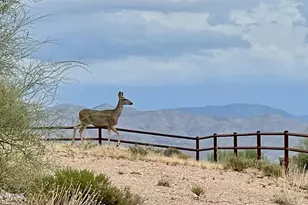 13906 E Montello Rd, Scottsdale, AZ 85262 - Photo 94