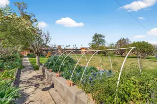 1105 N Delmar St, Mesa, AZ 85203 - Photo 48