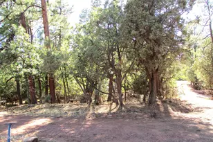 6413 W Barton Dr, Pine, AZ 85544 - Photo 22