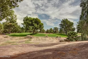 3929 E Carter Dr, Phoenix, AZ 85042 - Photo 38