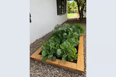 5402 E Corrine Drive E, Scottsdale, AZ 85254 - Photo 36