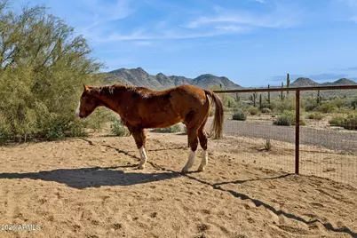 39913 N 26th Street, Cave Creek, AZ 85331 - Photo 62