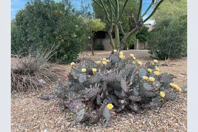 10049 N 25th Place, Phoenix, AZ 85028 - Photo 68