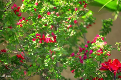 8305 W Tonto Lane, Peoria, AZ 85382 - Photo 8