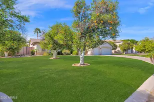 1126 N Nassau St, Mesa, AZ 85205 - Photo 6