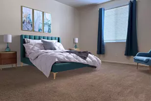 955 E Knox Rd, Chandler, AZ 85225 - Photo 14