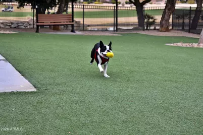 17446 N Escalante Lane, Surprise, AZ 85374 - Photo 68