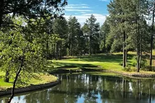 2609 E Pine Island Ln, Payson, AZ 85541 - Photo 56