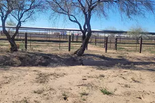 8050 S Bianco Rd, Casa Grande, AZ 85193 - Photo 4