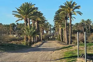 10850 N Ave 76E --, Dateland, AZ 85333 - Photo 2