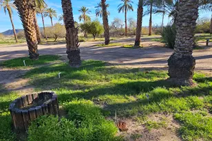 10850 N Ave 76E --, Dateland, AZ 85333 - Photo 30