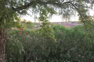 16616 E Palisades Blvd, Fountain Hills, AZ 85268 - Photo 70