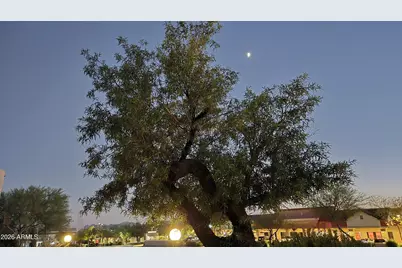 16616 E Palisades Boulevard #109, Fountain Hills, AZ 85268 - Photo 98