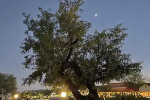 16616 E Palisades Blvd, Fountain Hills, AZ 85268 - Photo 98