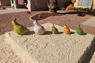 25426 S Springcreek Rd, Sun Lakes, AZ 85248 - Photo 40