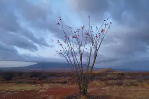 Tbd W Luna Nueva Rd, Bisbee, AZ 85603 - Photo 2