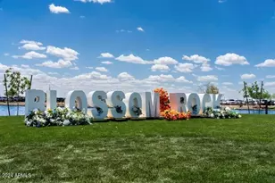 10192 S Dutchman Dr, Apache Junction, AZ 85120 - Photo 12