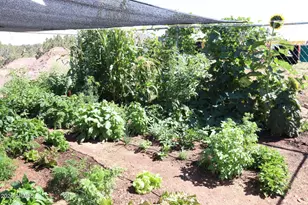 532 N8570 (Moongap) --, Concho, AZ 85924 - Photo 38