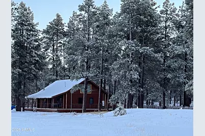 39291 Lake Mary Road, Happy Jack, AZ 86024 - Photo 44