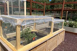 39291 Lake Mary Rd, Happy Jack, AZ 86024 - Photo 38