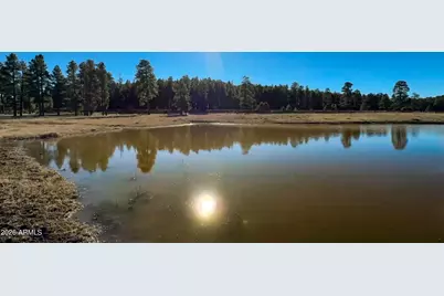 39291 Lake Mary Road, Happy Jack, AZ 86024 - Photo 4