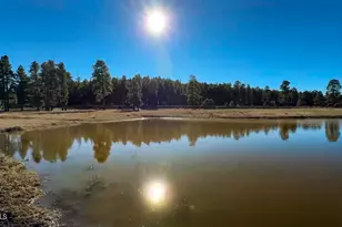 39291 Lake Mary Rd, Happy Jack, AZ 86024 - Photo 4