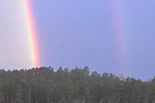 39291 Lake Mary Rd, Happy Jack, AZ 86024 - Photo 46