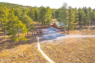 39291 Lake Mary Rd, Happy Jack, AZ 86024 - Photo 54