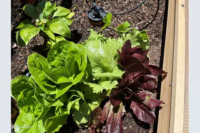 39291 Lake Mary Road, Happy Jack, AZ 86024 - Photo 40