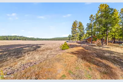 39291 Lake Mary Road, Happy Jack, AZ 86024 - Photo 48