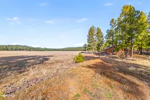 39291 Lake Mary Rd, Happy Jack, AZ 86024 - Photo 48