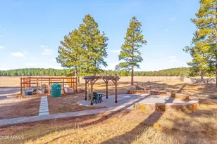 39291 Lake Mary Rd, Happy Jack, AZ 86024 - Photo 32