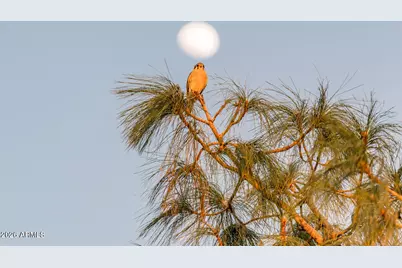 18425 N Conquistador Drive, Sun City West, AZ 85375 - Photo 88