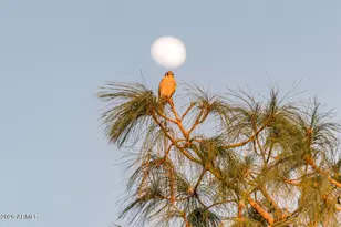 18425 N Conquistador Dr, Sun City West, AZ 85375 - Photo 88