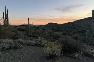 42382 N Chiricahua Pass Pass, Scottsdale, AZ 85262 - Photo 1