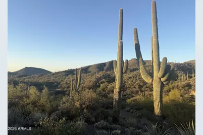 42382 N Chiricahua Pass Pass #318, Scottsdale, AZ 85262 - Photo 4