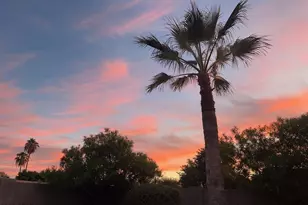 2031 E Vista Dr, Phoenix, AZ 85022 - Photo 22