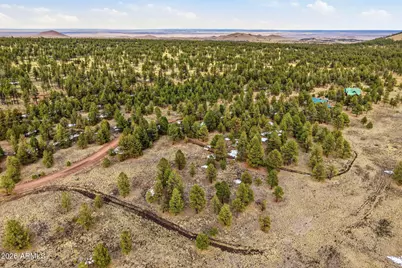 14 County Road N 1332 -- #36, Greer, AZ 85927 - Photo 6