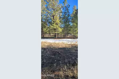 14 County Road N 1332 -- #36, Greer, AZ 85927 - Photo 12
