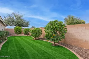 292 W Welsh Black Cir, San Tan Valley, AZ 85143 - Photo 32