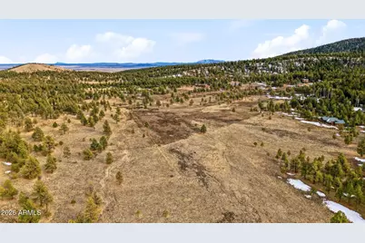 20 County Road N 1332 -- #37, Greer, AZ 85927 - Photo 8